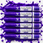 Kit 6 Marcadores Pincel Viscollor Recarregável Quadro Branco Violeta