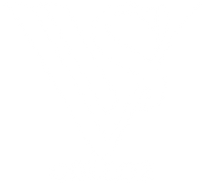 Vis collor